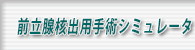 前立腺核出用手術シミュレータ